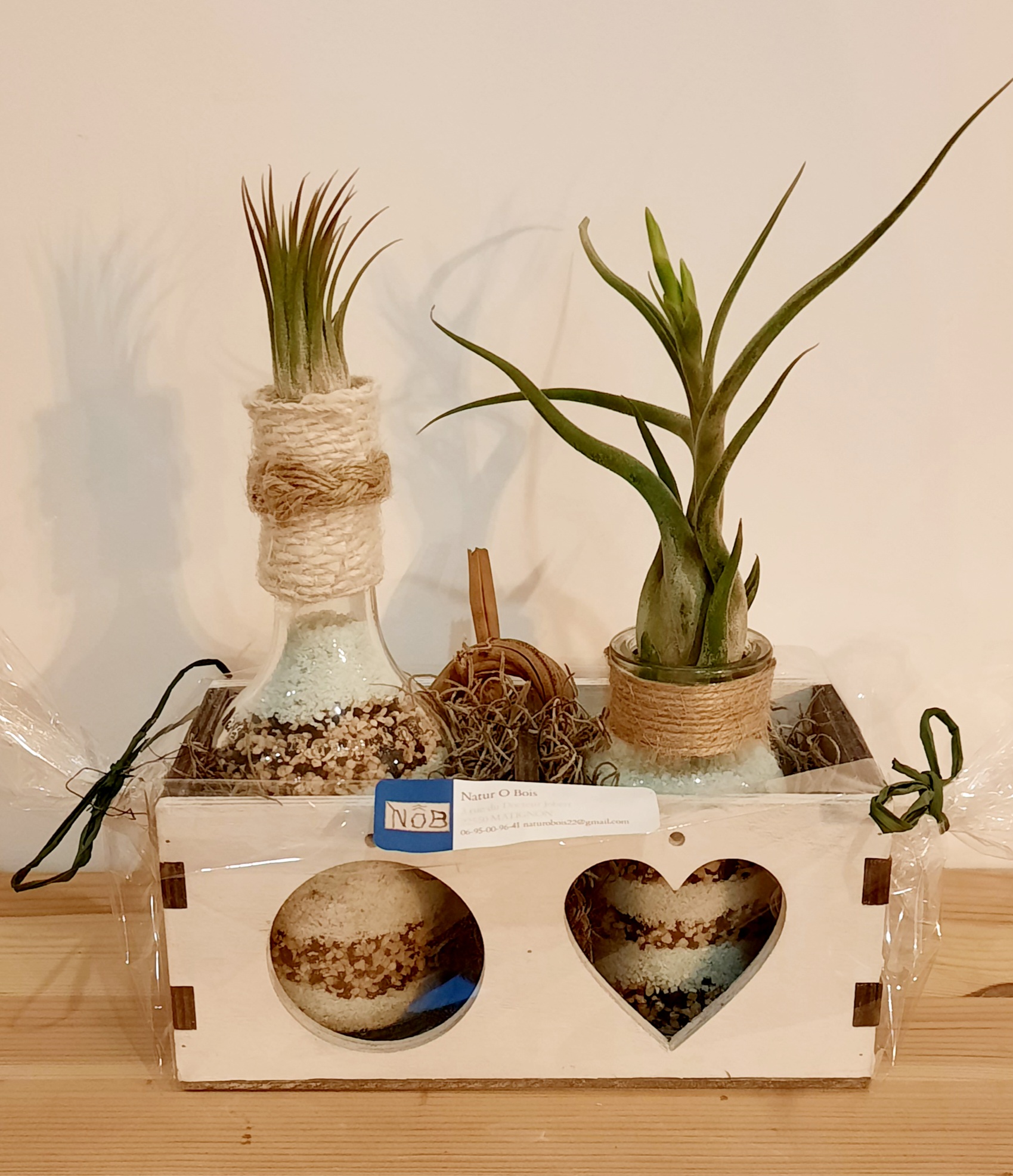 Composition décorative en bois flotté avec tillandsias et supports en forme de cœur et rond