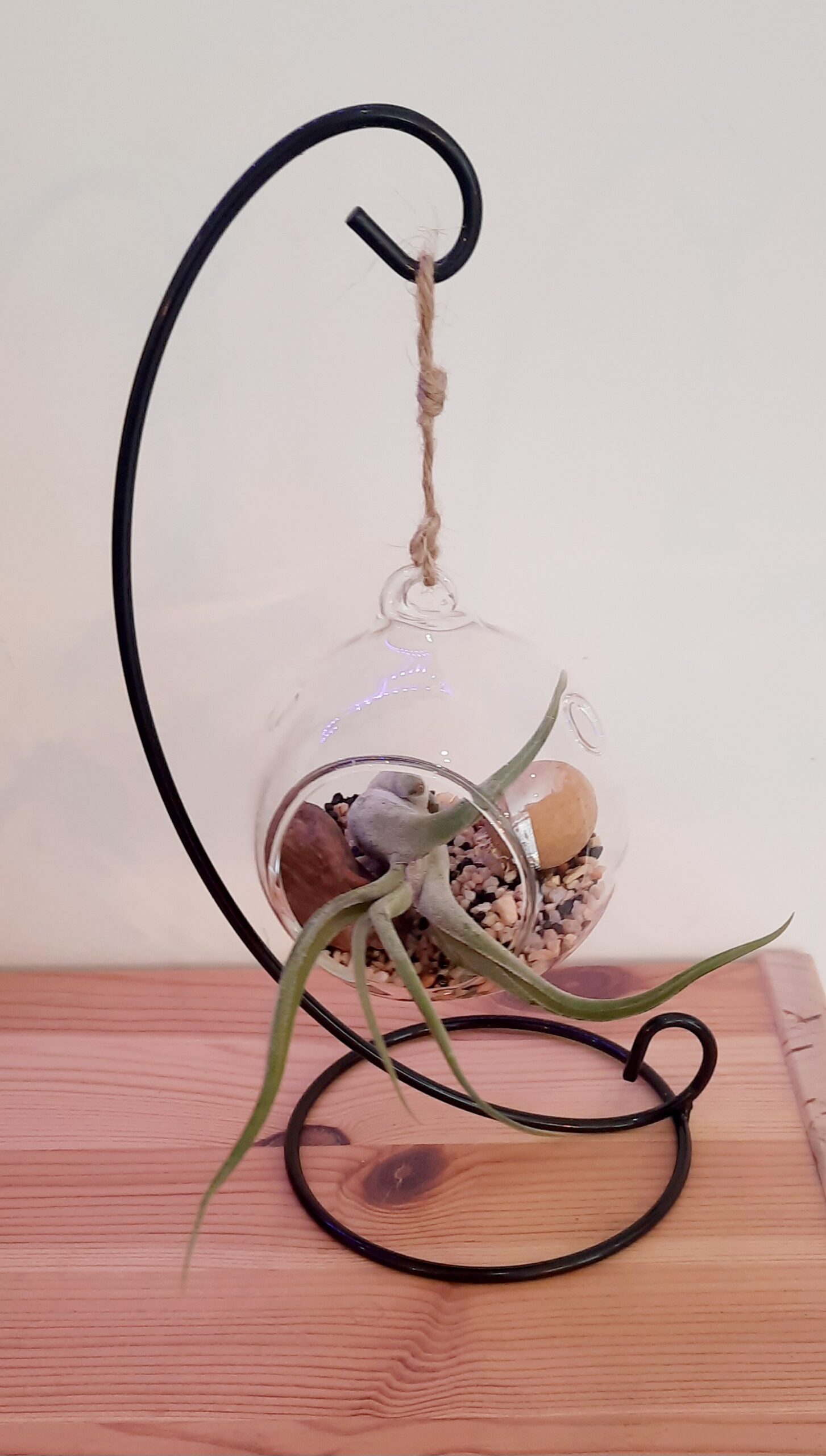 Boule décorative suspendue avec tillandsia sur support en métal et bois flotté